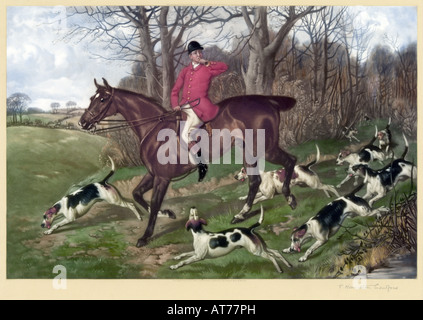 Mann auf dem Pferd mit Hunde-Fuchsjagd im englischen Country-Seite Stockfoto