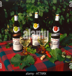 Drei Flaschen des deutschen Weißwein plus zwei gefüllten Weingläser stehend auf einen Tisch mit einer Tischdecke rot-check Stockfoto