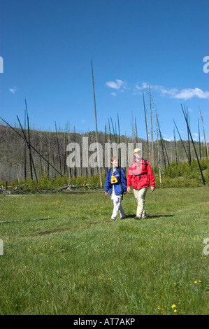 Wanderer bewegen sich durch eine Fläche von verbrannte Bäume in der Nähe von Fee verliebt sich in Yellowstone Nationalpark, WY. Stockfoto