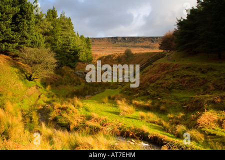 Ansicht der Schauspielerfamilie Bach unter Burbage Felsen auf Hathersage Moor im Peak District National Park Stockfoto