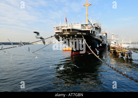 Die hikawa Maru Ocean Liner, Yokohama JP Stockfoto