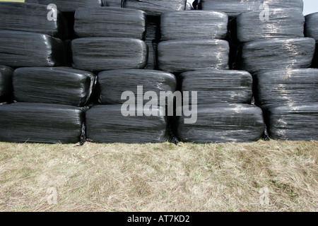 Ballen schrumpfen verpackt in schwarzem Polyethylen Stockfoto