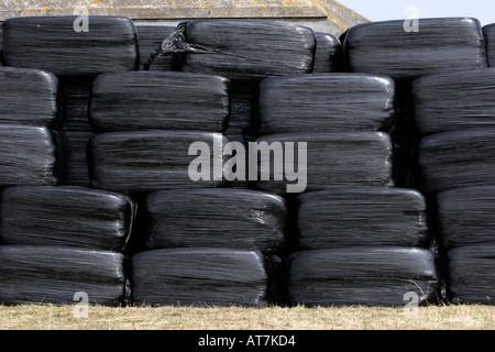 Ballen schrumpfen verpackt in schwarzem Polyethylen Stockfoto