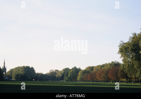 Bäume zur Herbstfärbung im Hyde Park, London Stockfoto