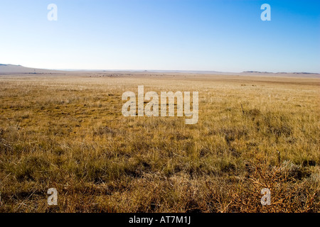 Die weiten Ebenen des östlichen Colorado sind noch nicht an diesem sonnigen Herbst morgen lebendig werden. Stockfoto