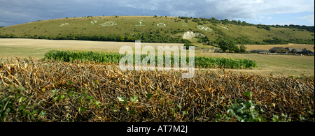 Fovant Abzeichen, Fovant, östlich von Salisbury, Wiltshire, England Stockfoto