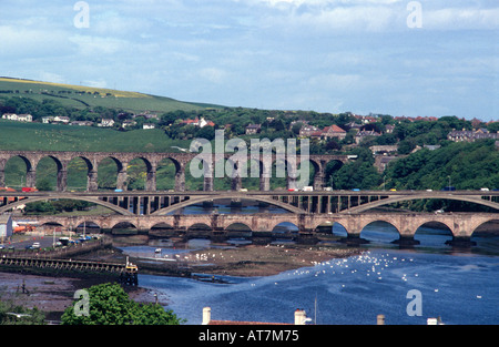 Berwick nach Tweed der berühmten drei Brücken Stockfoto