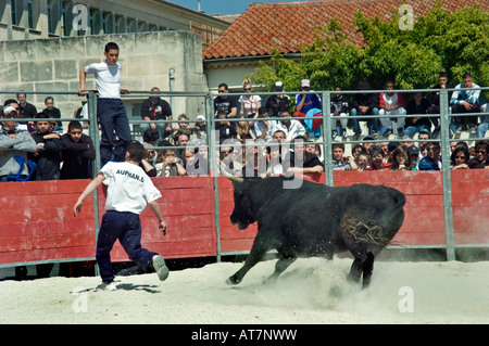 Arles, Frankreich, französische männliche Teenager Matadore in traditionellen Carmaque Stierkampf Zeremonie Feria "Stierkampf Festival" Stockfoto