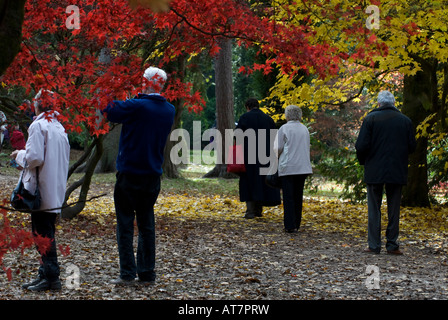 Besucher Westonbirt Arboretum im Herbst. England, UK Stockfoto