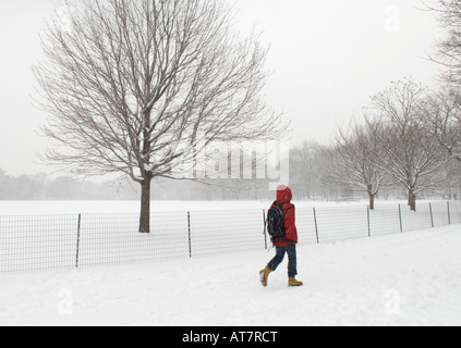 Mann geht im Central Park New York während eines Schneesturms Stockfoto