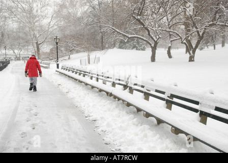 Mann geht im Central Park New York während eines Schneesturms Stockfoto