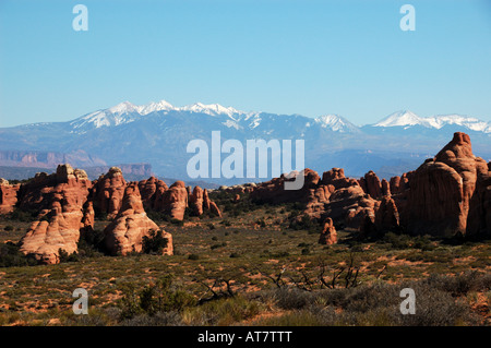 Die La Sal Mountains. Arches-Nationalpark, Moab, Utah. Stockfoto