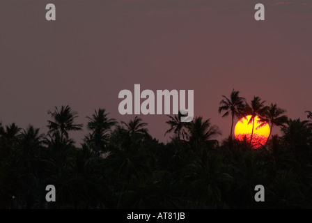 Mosambik-Sonnenuntergang Stockfoto