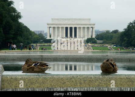 Die Lincoln Memoial durch zwei Enten aus dem zweiten Weltkrieg-Denkmal in Washington DC Vereinigte Staaten von Amerika aus gesehen Stockfoto