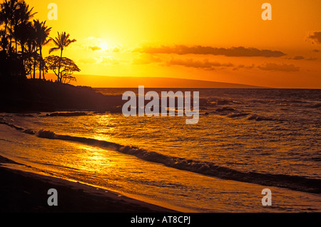 Palmen sind gegen einen herrlichen goldenen Sonnenuntergang am Napili Bay in der Nähe von Kapalua, Maui West Silhouette. Stockfoto