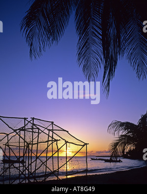 Hummer-Töpfe am Strand mit Palmen und Sonnenuntergang Karibik, Marie-Galante Insel Guadeloupe, Französisch-Westindien Stockfoto