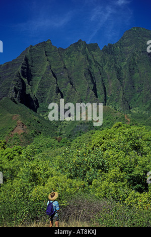 Wanderer schaut auf die schroffen Klippen in Kalalau Valley, Na Pali Coast, Kauai Stockfoto