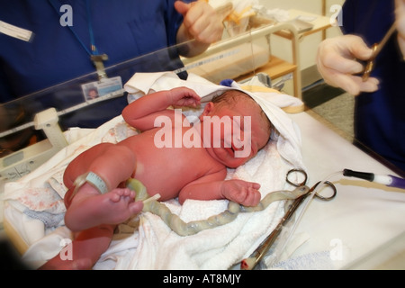 neugeborenes Baby mit Nabelschnur Akkord noch attatched Stockfoto