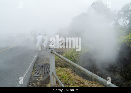 Zwei Touristen sind eingehüllt in vulkanischer Dampf in der Region bekannt als dämpfen Bluff im Hawaii Volcanoes National Park, nicht weit von Stockfoto