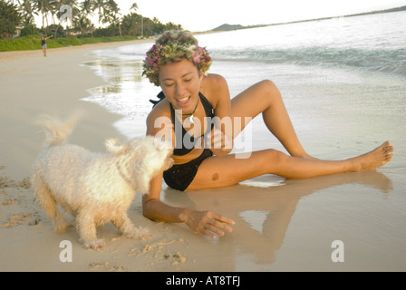 schöne junge Frau, die schwarzen Badeanzug spielt mit kleinen weißen Hund am Ufer am weltberühmten Lanikai Strand auf der Stockfoto