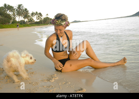 schöne junge Frau, die schwarzen Badeanzug spielt mit kleinen weißen Hund am Ufer am weltberühmten Lanikai Strand auf der Stockfoto