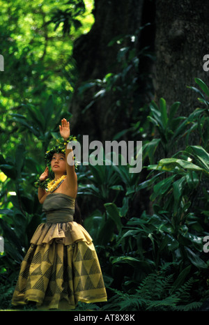 Frau tanzt Hula für Prinz viel Hula Festival in Moana Lua Gardens, Oahu Stockfoto