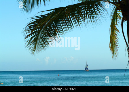 Segelboot aus Waikiki Strand mit blauem Meer und Palmen Baum im Vordergrund Stockfoto