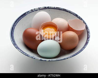 Freilandhaltung Ente Wachtel-alte Cotswold erscheinen und Burford Brown Hennen Eiern redaktionelle Essen Stockfoto