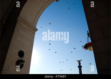 Tauben im Flug durch einen Bogen bei Union Station Washington DC Stockfoto