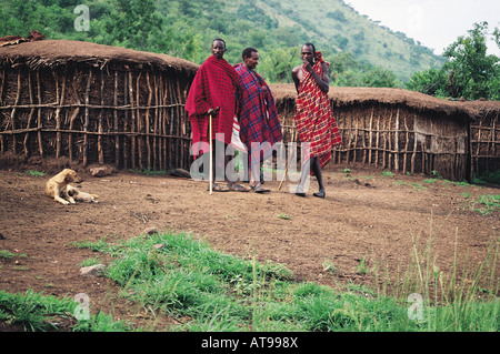Maasai ältesten in ihrem Dorf Masai Mara National Reserve Kenia in Ostafrika Stockfoto