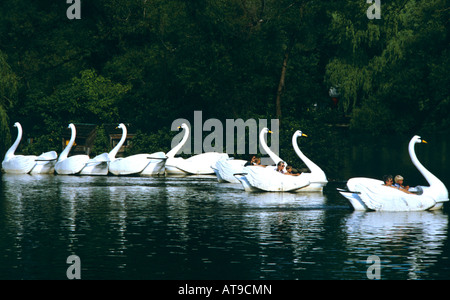 Schwan geformt Tretboote am Teich im Stadtpark USA Stockfoto