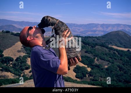 Immer einige Welpen-Liebe in den Hügeln oberhalb von San Luis Obispo San Luis Obispo County in Kalifornien Stockfoto
