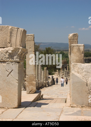 Ephesus ägäischen Küste der Türkei ruiniert Straße und gateway Stockfoto