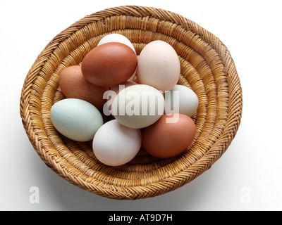 Freilandeier Ente alten Cotswold erscheinen Burford braun redaktionelle Essen Stockfoto