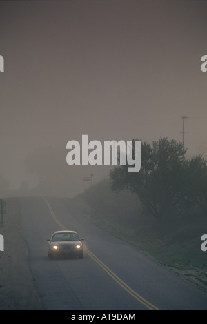 Morgennebel über zweispurige ländliche Landstraße Union Road Paso Robles San Luis Obispo County in Kalifornien Stockfoto