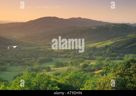 Sonnenuntergang über Eichen und Tal im Frühjahr entlang Adelaida Straße Paso Robles San Luis Obispo County in Kalifornien Stockfoto