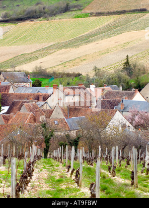 Dorf Chavignol in der Nähe von Sancerre im Loire-Tal inmitten der Weingärten auf den umliegenden Hügeln Stockfoto