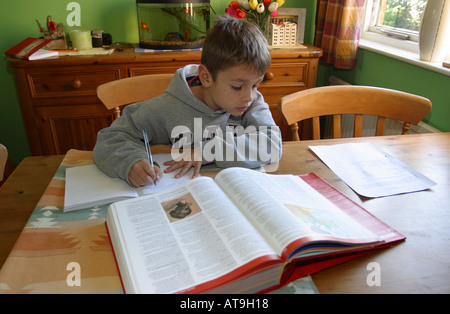 Kleiner Junge Recherche für Hausaufgaben zu Hause Stockfoto