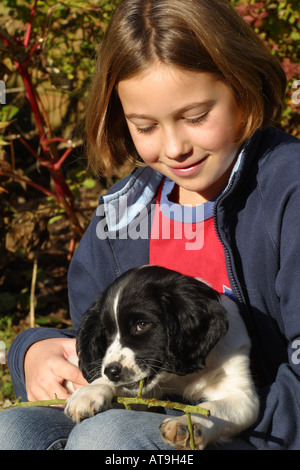Puppy Hund English Springer Spaniel mit Pround junges Mädchen Stockfoto