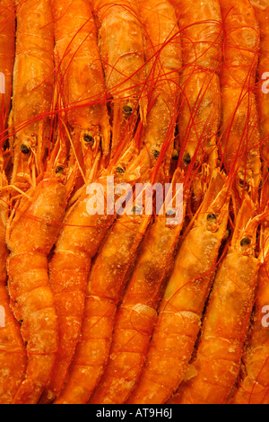 La Boqueria-Markt Barcelona Stockfoto