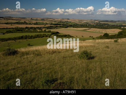 Kreide Grasland und Gestrüpp auf Martin nach unten NNR Hampshire Stockfoto