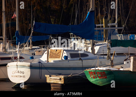 Segelboote namens Kuckuck und Psycho angedockt nebeneinander Stockfoto