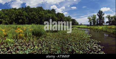 Eine unbenannte Nebenfluss Osten durchzieht Dyke Marsh, der Potomac River Alexandria Virginia Stockfoto