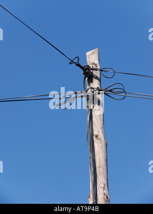 Telefonleitungen und Elektrokabel an Holzstab befestigt Stockfoto