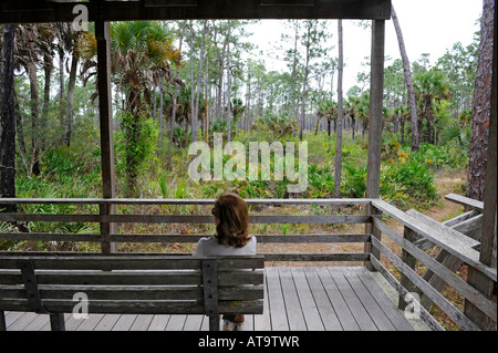 Corckscrew Swamp Sanctuary Naples, Florida Stockfoto