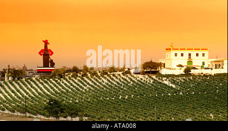 Schmerzen Sie Andalusien Costa De La Luz Jerez De La Frontera Sherry Werbung von Tio Pepe Gonzales Byass Sherry Wein Felder finca Stockfoto
