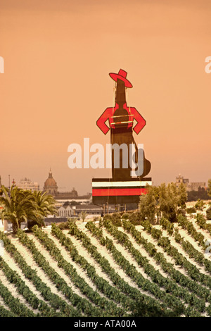 Spanien Andaulusia Jerez De La Frontera Tio Pepe Sherry Wein Felder Stockfoto
