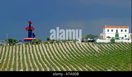 Spanien Andaulusia Jerez De La Frontera Tio Pepe Sherry Wein Felder Stockfoto