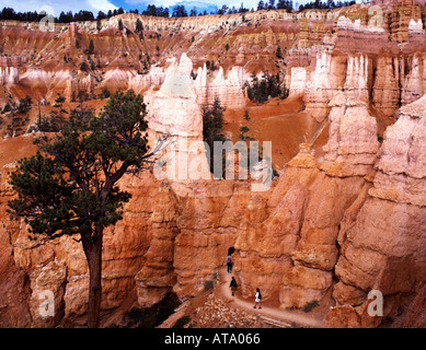 USA Südwesten Utah Bryce Canyon Nationalpark Hoodos Felssäulen in Qeens Garten Stockfoto