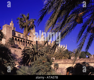 Spanien Mallorca Kathedral-Palmen Stockfoto